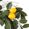 24" Green & Yellow Salal Leaf Lemon Wreath